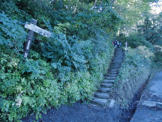 daisen021.jpg