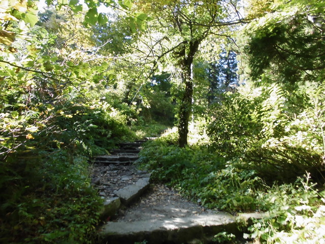 daisen025.jpg