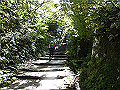 daisen029_thumb.png
