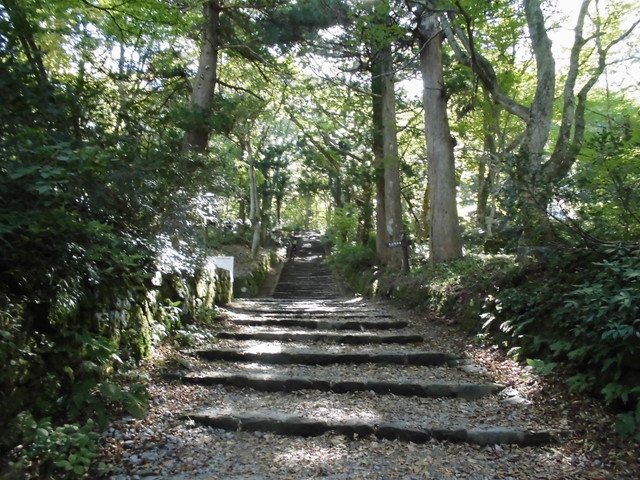 daisen035.jpg