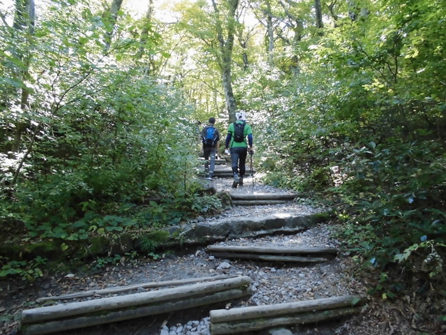 daisen040.jpg
