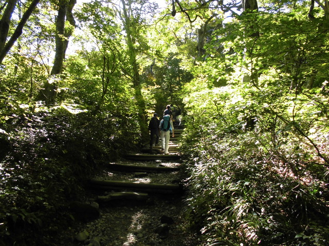 daisen041.jpg
