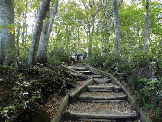 daisen043.jpg