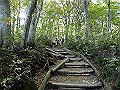 daisen043_thumb.png