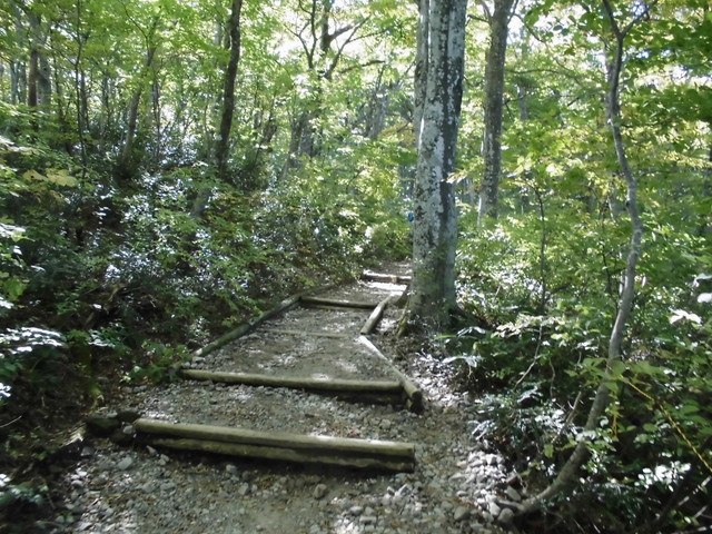 daisen044.jpg