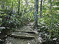 daisen044_thumb.png