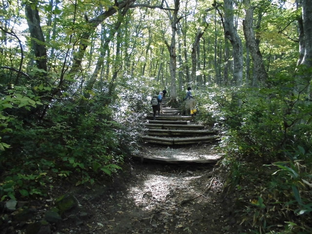 daisen045.jpg
