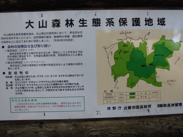 daisen046.jpg