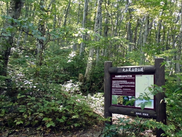 daisen047.jpg