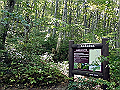 daisen047_thumb.png
