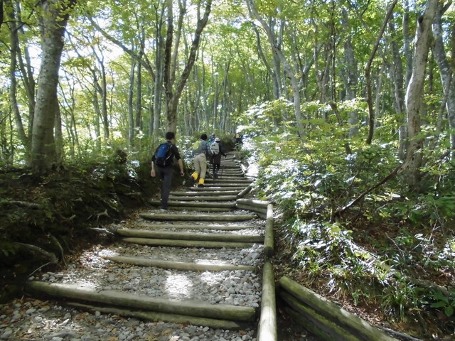 daisen048.jpg