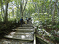 daisen048_thumb.png