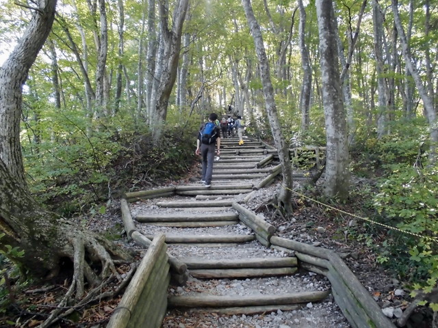 daisen049.jpg