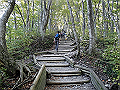 daisen049_thumb.png