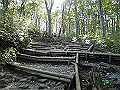 daisen050_thumb.png