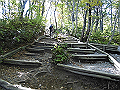 daisen051_thumb.png