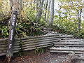 daisen052_thumb.png