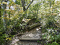 daisen054_thumb.png
