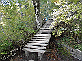 daisen056_thumb.png