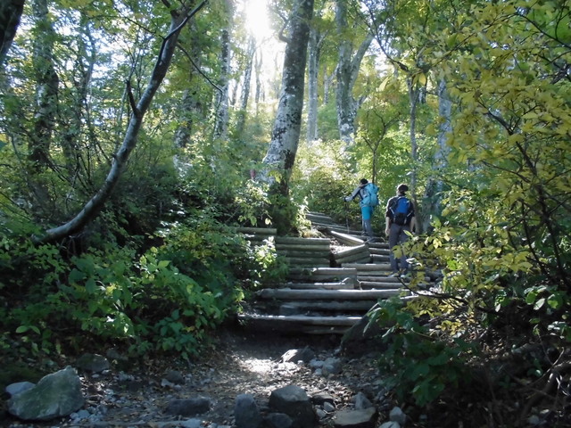 daisen057.jpg