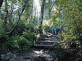 daisen057_thumb.png