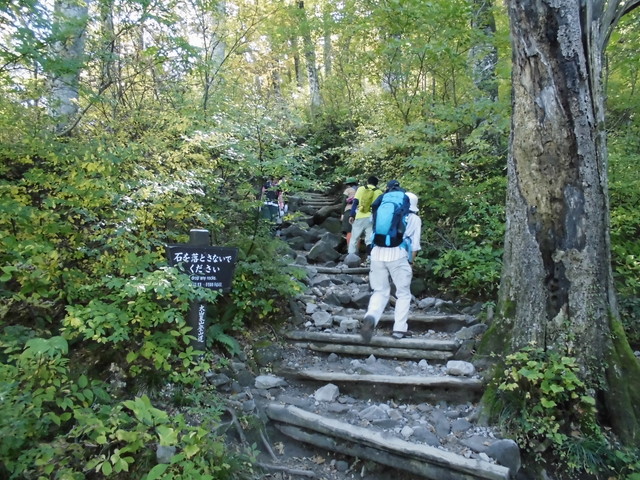 daisen062.jpg