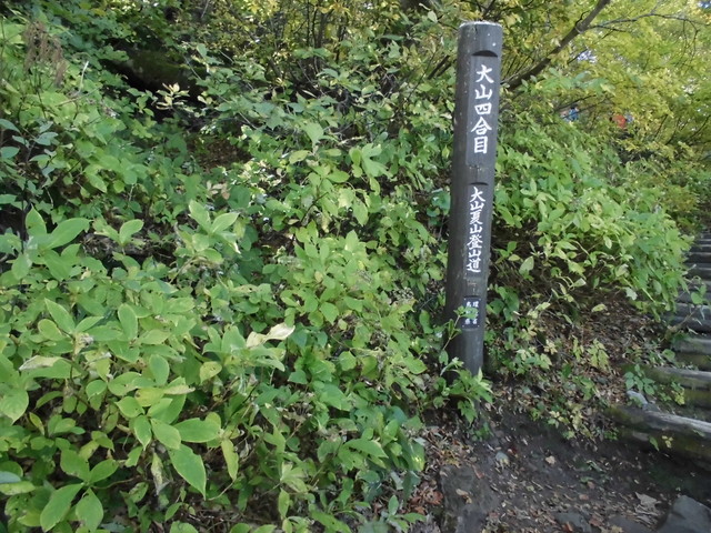 daisen065.jpg