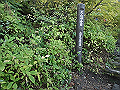 daisen065_thumb.png