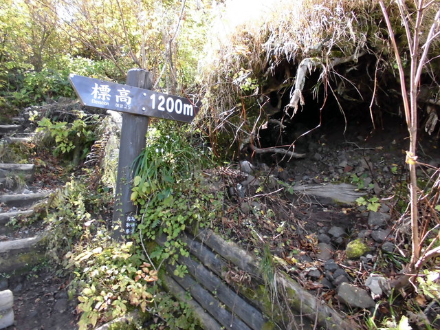 daisen066.jpg