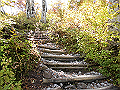 daisen067_thumb.png
