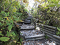 daisen068_thumb.png