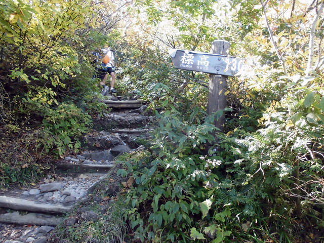 daisen073.jpg