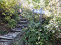 daisen073_thumb.png