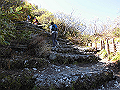 daisen079_thumb.png
