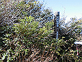 daisen080_thumb.png