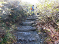 daisen081_thumb.png
