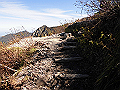 daisen084_thumb.png