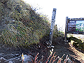 daisen090_thumb.png