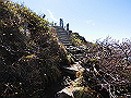 daisen091_thumb.png