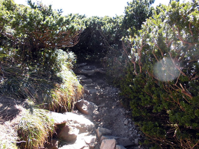 daisen094.jpg