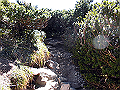 daisen094_thumb.png