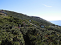 daisen097_thumb.png