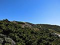 daisen099_thumb.png