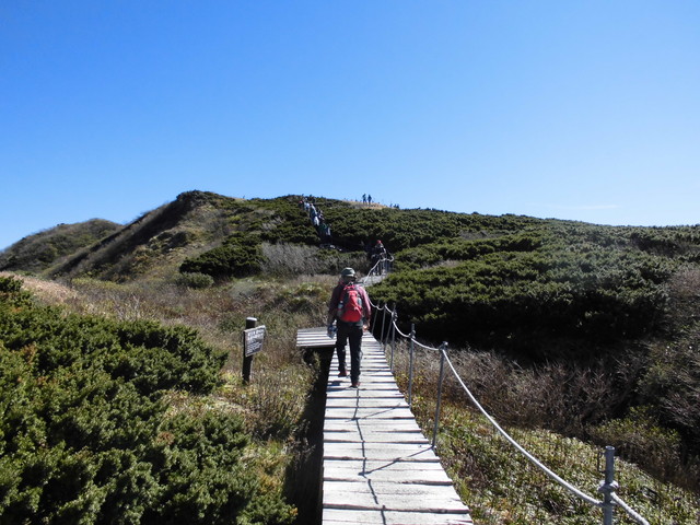 daisen103.jpg