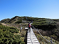 daisen103_thumb.png