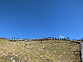 daisen108_thumb.png