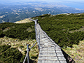 daisen117_thumb.png