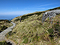 daisen119_thumb.png