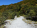 daisen125_thumb.png