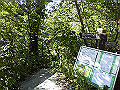 daisen126_thumb.png